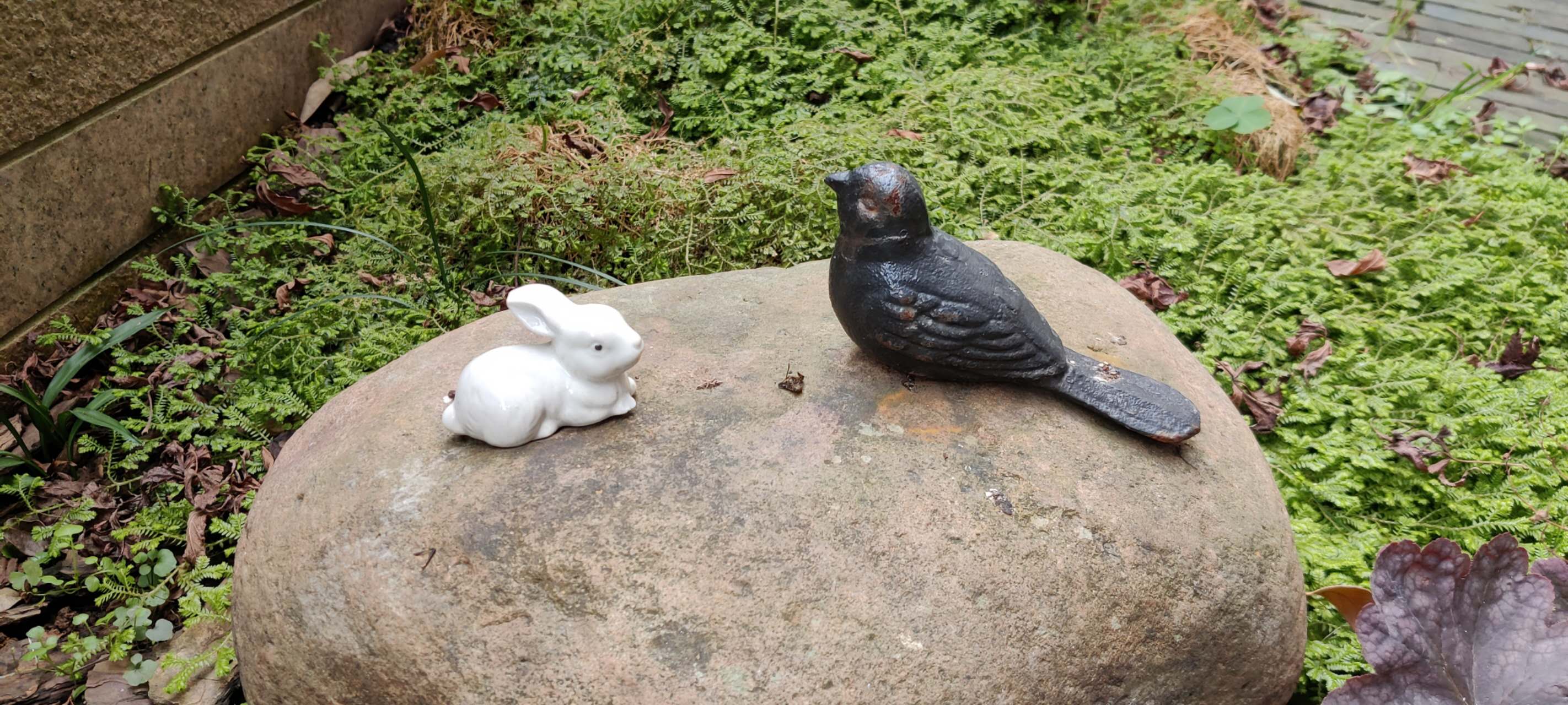 Life scene 1